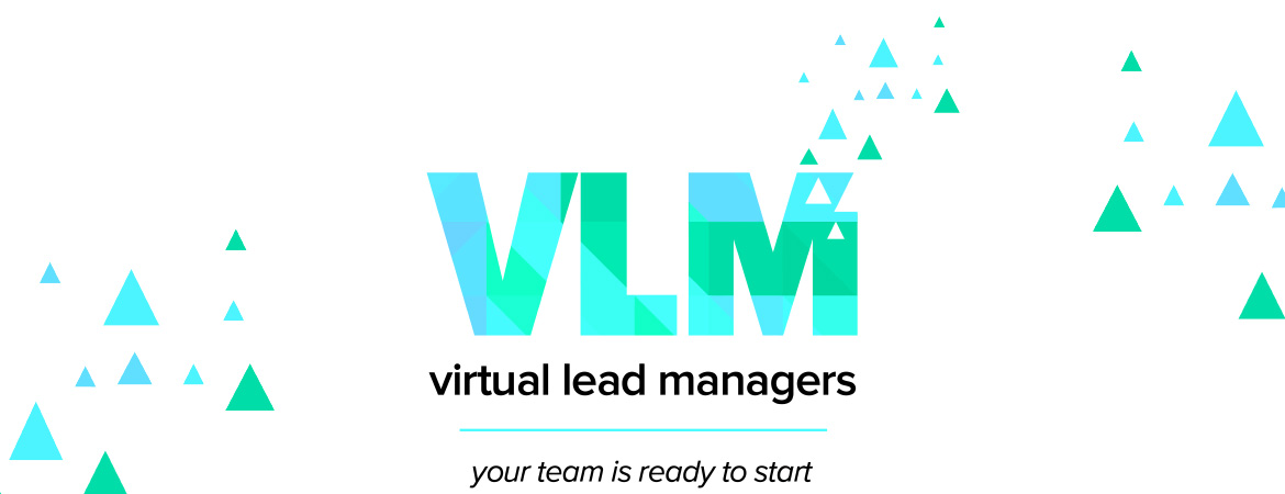 VLM Training Platform