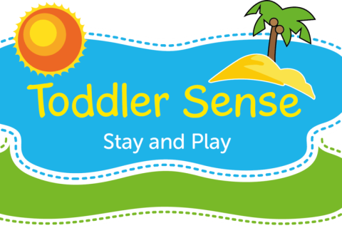 Toddler Sense Stay and Play Session Plan