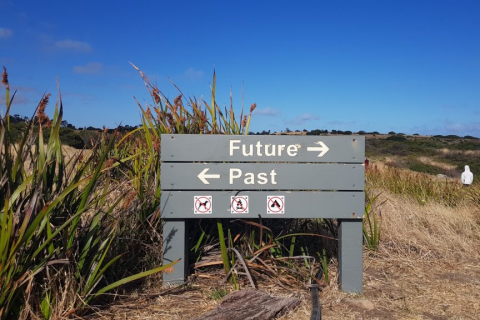 Reflect - Your career journey map (012)