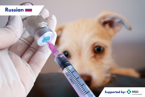 Руководство WSAVA по вакцинации кошек и собак (VCN_RU)