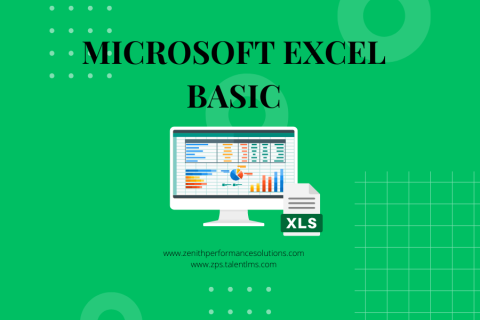 Microsoft Excel Basic